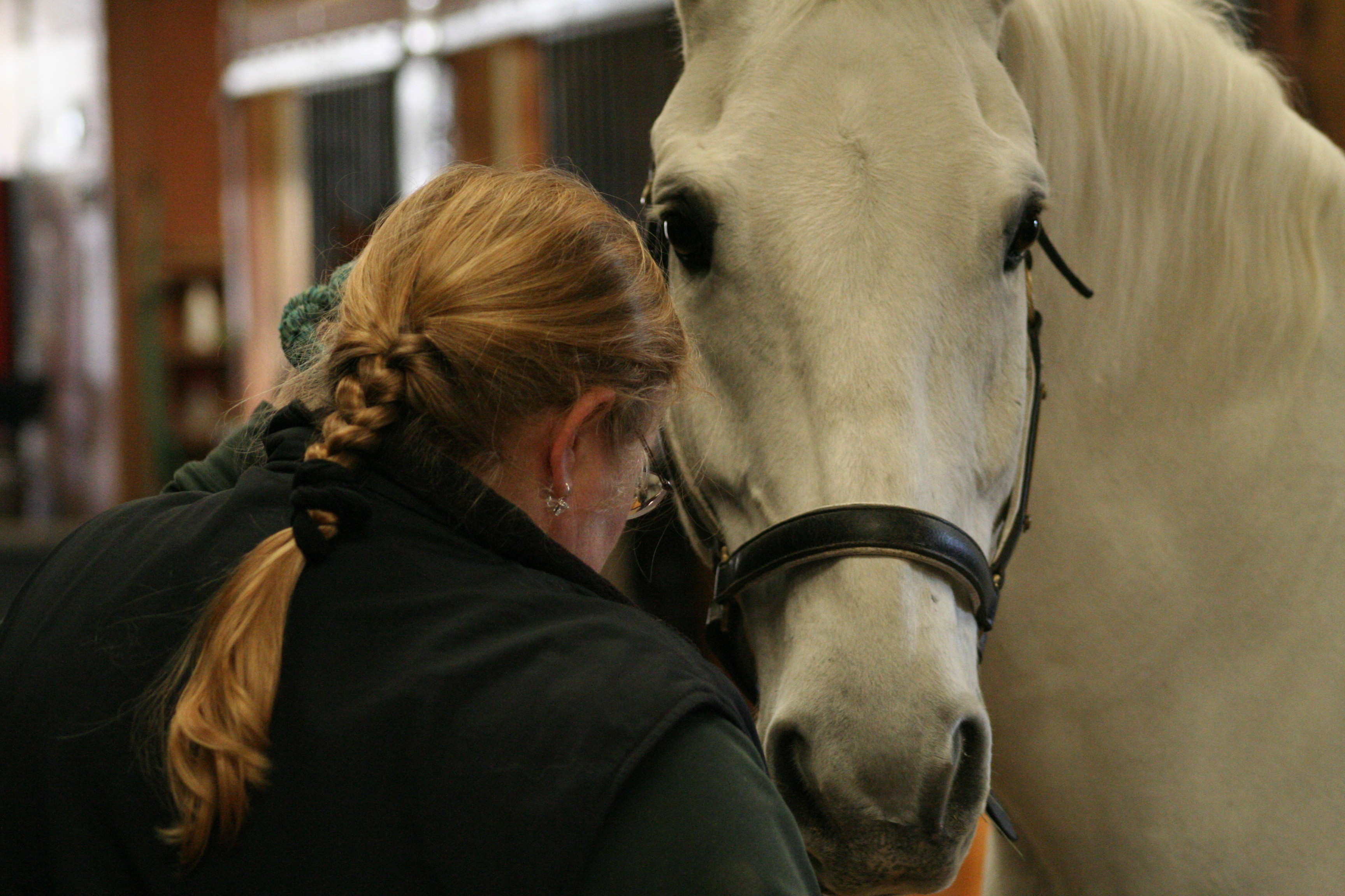 Horse and hands